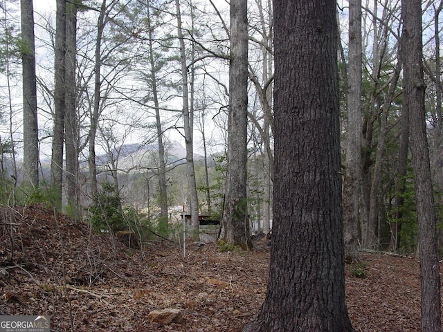 Listing photo 3 for TRACT3 Hf Lyons Rd, Hiawassee GA 30546