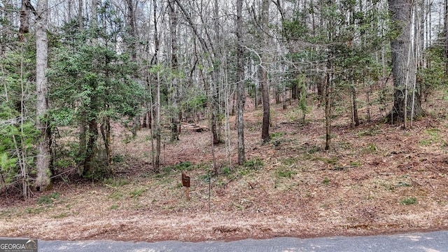 LOT14 Fiddlers Cv, Blairsville GA, 30512 land for sale