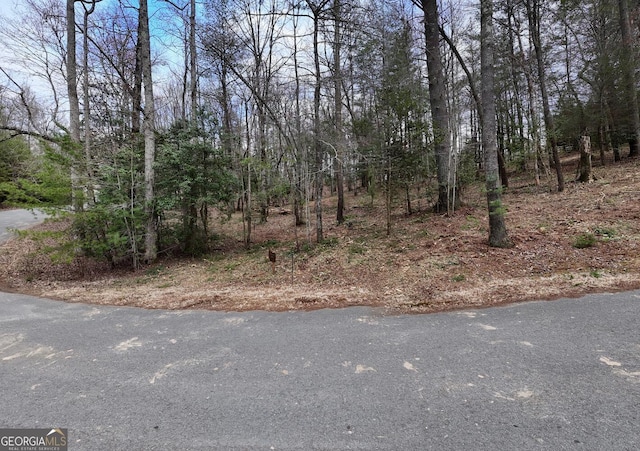 Listing photo 2 for LOT14 Fiddlers Cv, Blairsville GA 30512