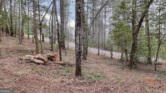 Listing photo 3 for LOT14 Fiddlers Cv, Blairsville GA 30512