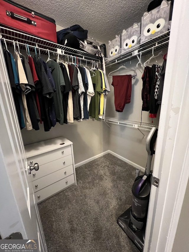 spacious closet with carpet floors