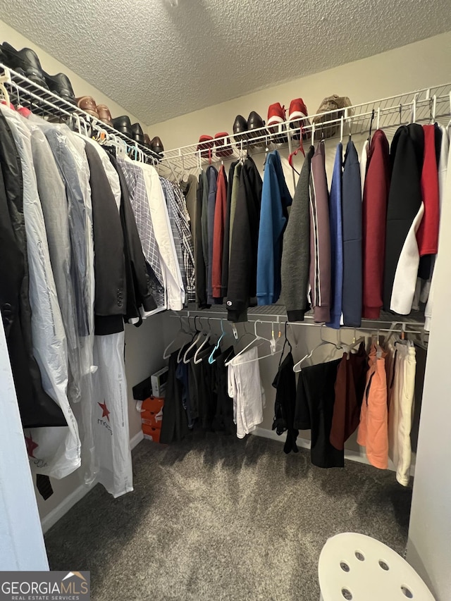 walk in closet featuring carpet