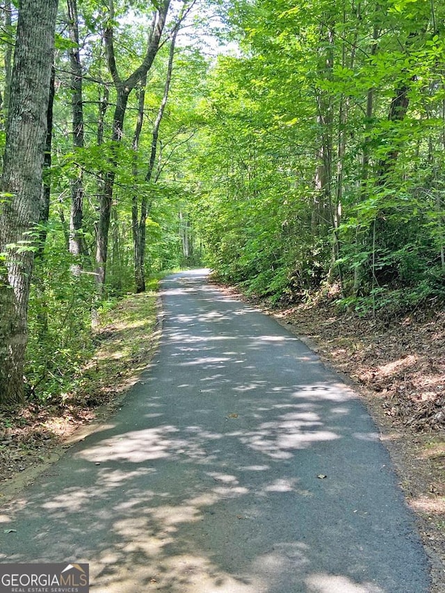 view of road with a forest view