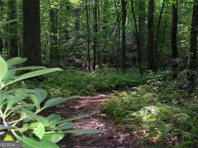 view of nature featuring a wooded view