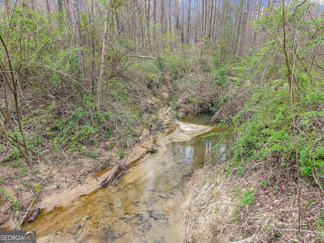 property view of water featuring a wooded view