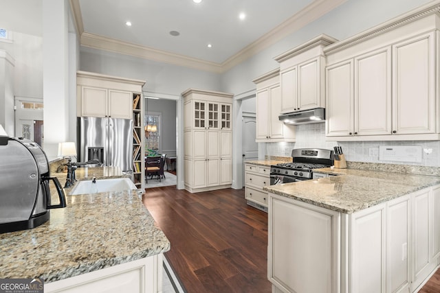 kitchen with a sink, light stone counters, under cabinet range hood, dark wood finished floors, and appliances with stainless steel finishes