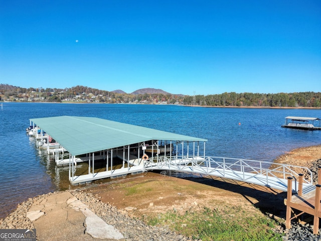 dock area with a water view