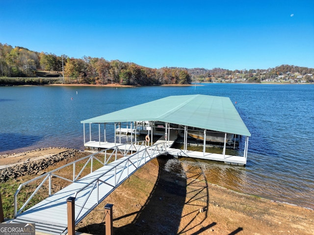 dock area with a water view