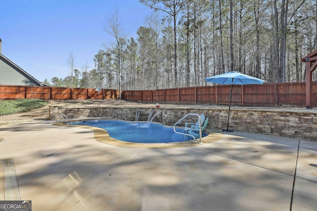 view of pool featuring a fenced in pool, a patio, and a fenced backyard