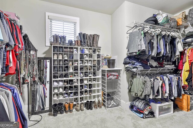 walk in closet featuring carpet floors