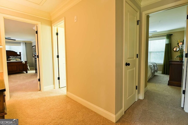 corridor featuring crown molding, baseboards, and carpet floors