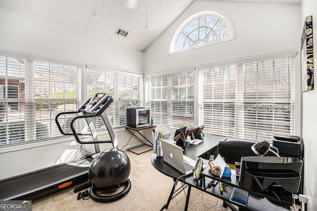 4809 Shae Ct Unit 5, Powder Springs, GA 30127 - exercise room featuring visible vents, a textured ceiling, carpet flooring, and high vaulted ceiling