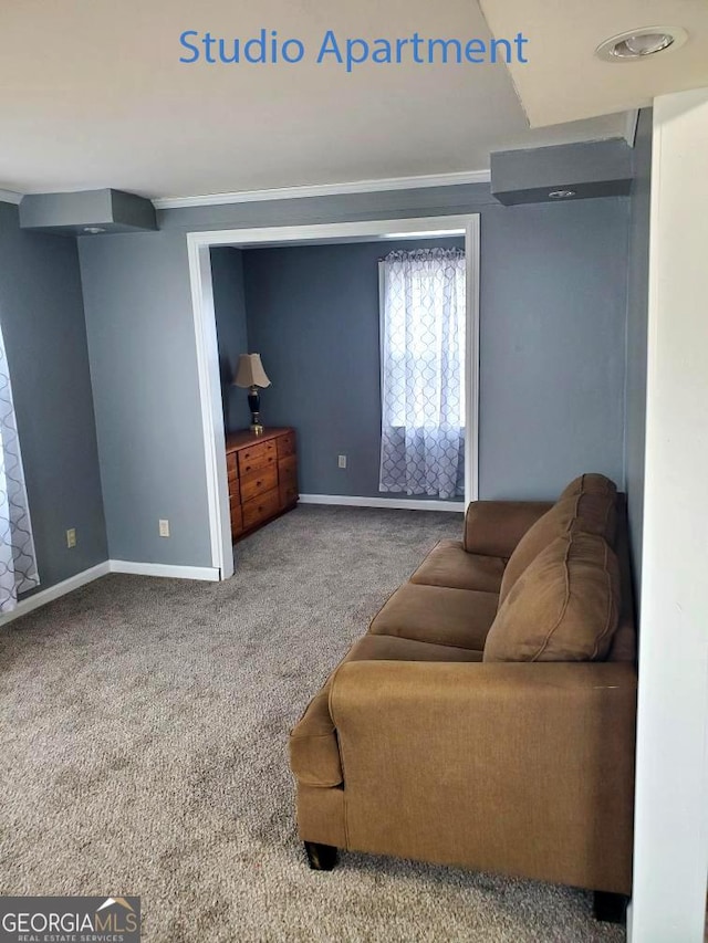 living room featuring baseboards, carpet floors, and crown molding