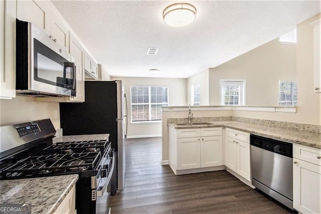 kitchen with a sink, appliances with stainless steel finishes, a peninsula, and a healthy amount of sunlight