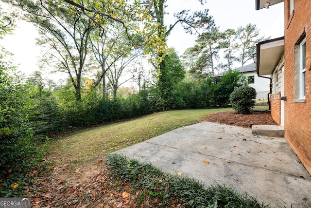 view of yard with a patio