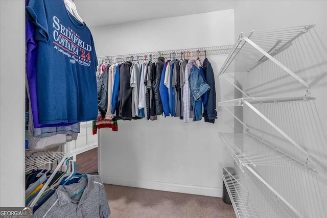 view of spacious closet