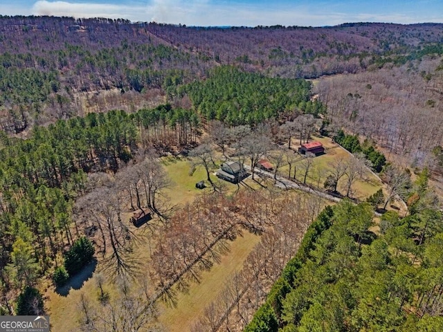 2385 Nebula Rd, Warm Springs GA, 31816 land for sale