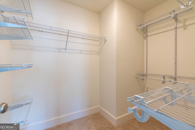 walk in closet with carpet flooring