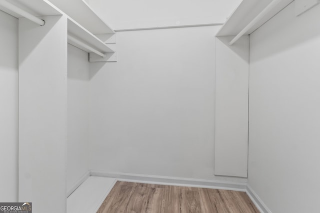 spacious closet featuring wood finished floors