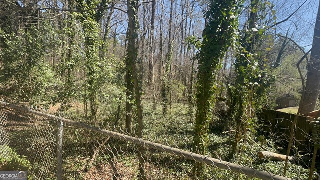 80 Harlan Rd SW, Atlanta, GA 30311 - view of tree filled area