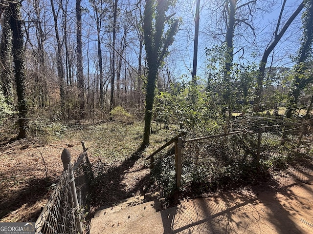 80 Harlan Rd SW, Atlanta, GA 30311 - view of undeveloped land