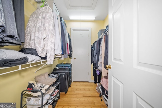 walk in closet with a raised ceiling, light wood-style floors, and attic access