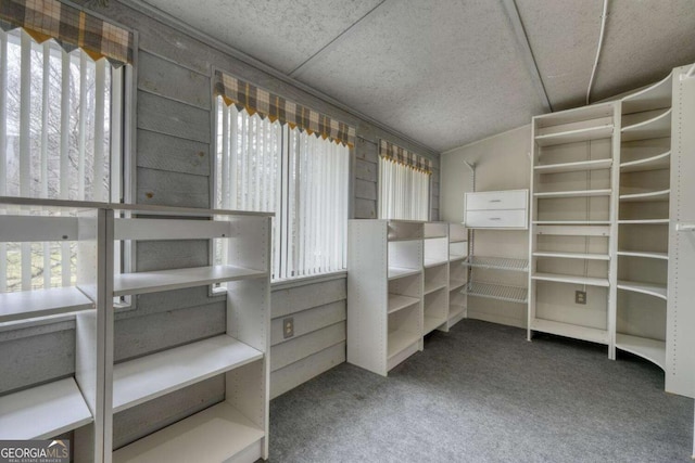 spacious closet featuring vaulted ceiling and carpet floors