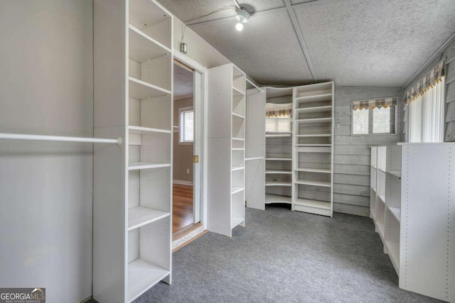 walk in closet with carpet floors