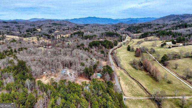 bird's eye view featuring a mountain view
