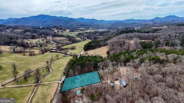 drone / aerial view with a mountain view
