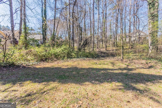 6265 Stoney Cv, Austell, GA 30168 - view of grassy yard