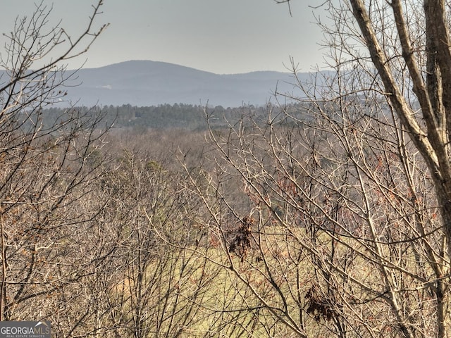 mountain view with a view of trees