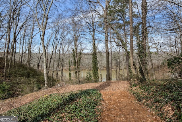 0 Winterthur, Sandy Springs, GA 30328 - view of yard featuring a view of trees
