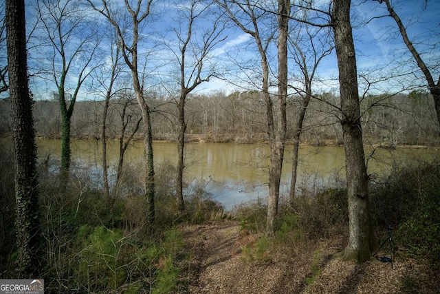 0 Winterthur, Sandy Springs, GA 30328 - water view with a forest