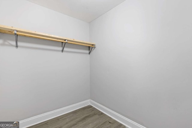 walk in closet featuring wood finished floors