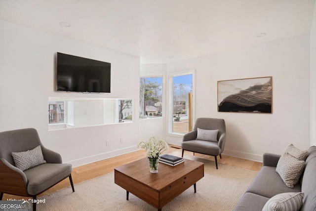 living room with baseboards and wood finished floors