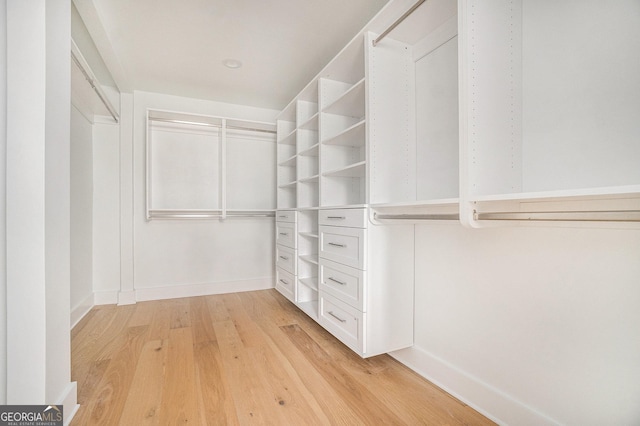 spacious closet featuring light wood-type flooring