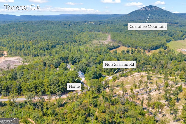 bird's eye view with a view of trees and a mountain view