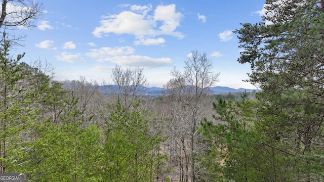 21 Trails End Ln Unit 339, Morganton, GA 30560 - mountain view featuring a heavily wooded area