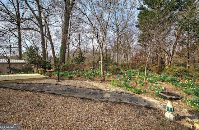 view of yard with a deck