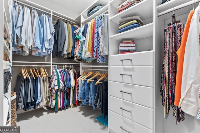 spacious closet with carpet flooring