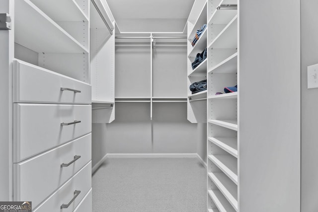 walk in closet with carpet