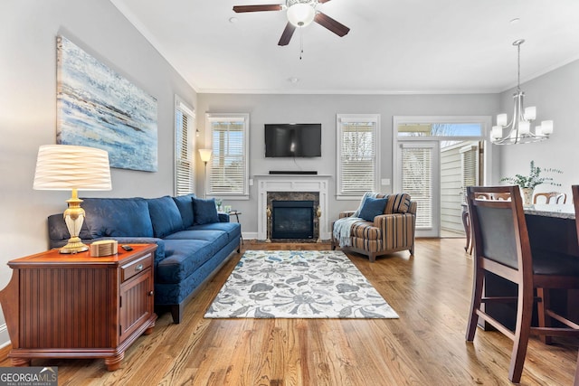 living area with a high end fireplace, ceiling fan with notable chandelier, a healthy amount of sunlight, and wood finished floors