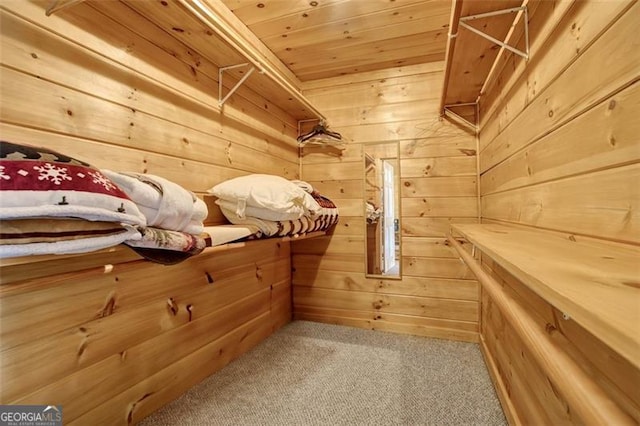 spacious closet featuring carpet flooring