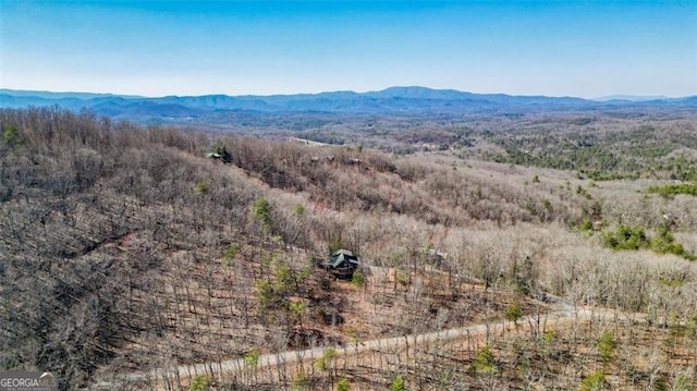 property view of mountains