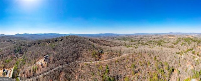 view of mountain feature with a forest view