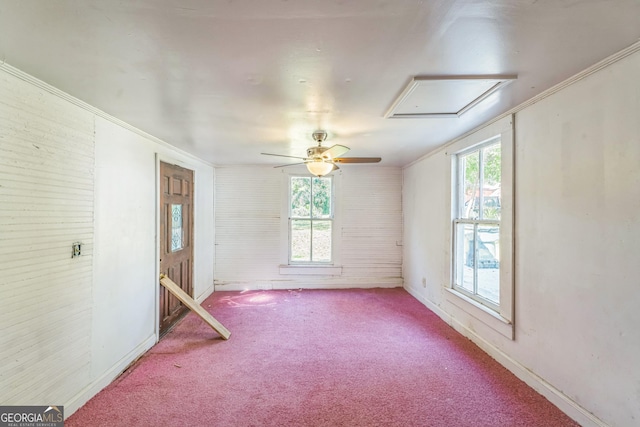 carpeted spare room with a wealth of natural light, attic access, baseboards, and ornamental molding