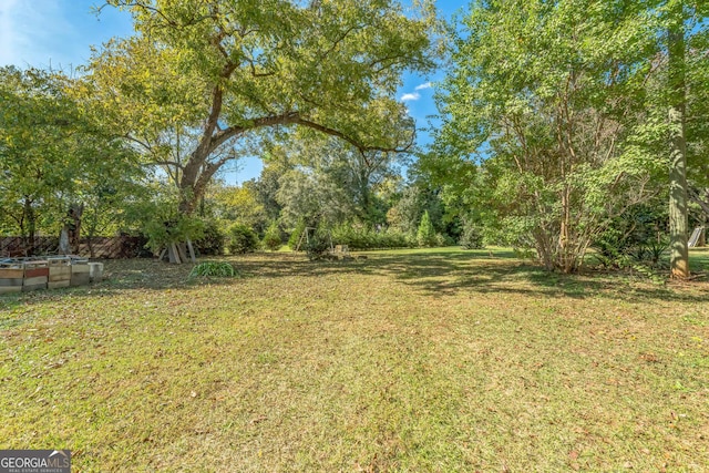 view of yard