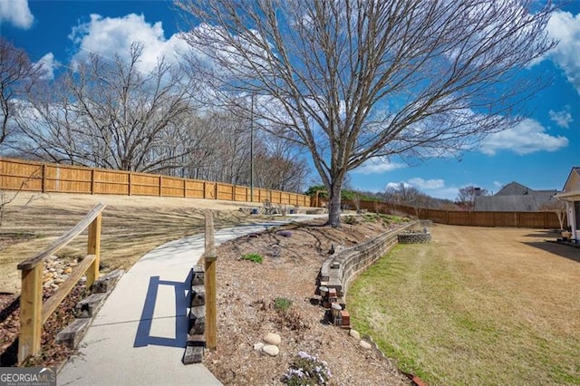 915 Cruce Lake Dr, Hoschton, GA 30548 - view of yard featuring fence private yard