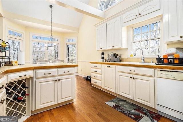 kitchen featuring dark wood finished floors, a sink, a wealth of natural light, and white dishwasher